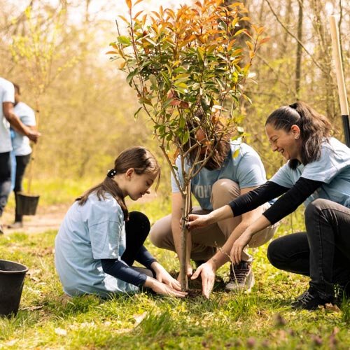 Abogado para protección de áreas verdes en La Florida Sanciones por daño a espacios públicos y áreas verdes